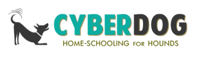 Cyber Scent Course